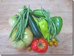 Vegetable harvest