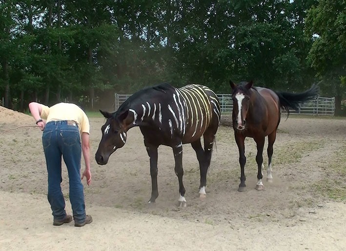 [20130723175342-%25282%2529%255B2%255D.jpg]