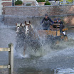 DSCN4871.JPG