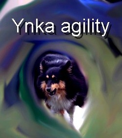 [ynkaag2%255B2%255D.jpg]