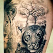 Tiger #3