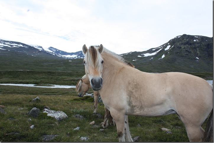 fjelltur 151 fjelltur 151