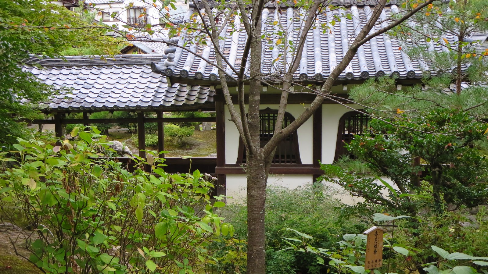 [IMG_1455%255B3%255D.jpg]