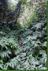 IMG_0030 IMG_0030