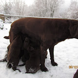 IMG_1932.JPG