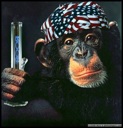 normal_monkey_smoke%25255B4%25255D.jpg