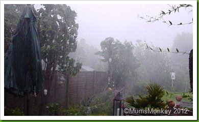 garden in a storm