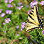 DSC_6788 DSC_6788