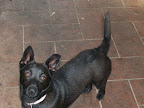 carlootta ancora mamma 018.jpg
