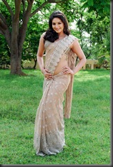 Ragini Dwivedi Hot Saree Stills