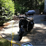Giving the Scoots a Bath
