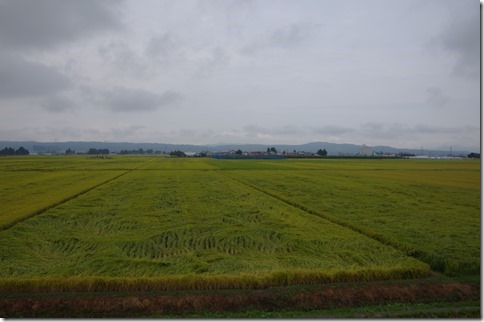 IMGP9754 IMGP9754