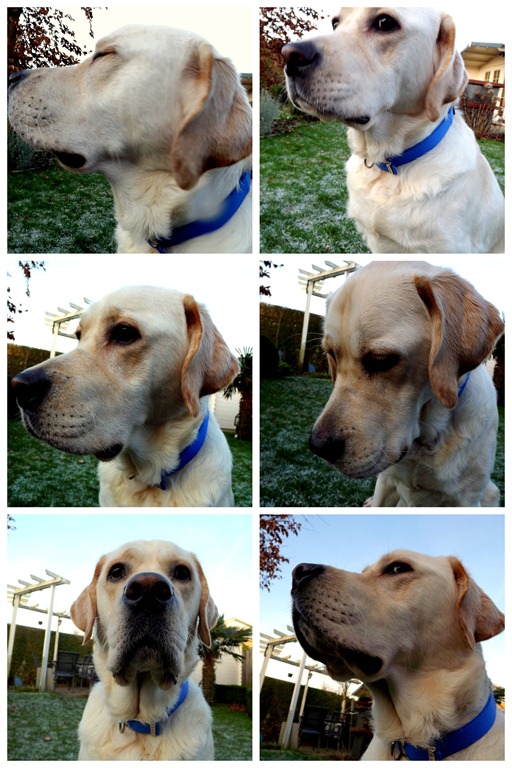 [Lester%2520pasfoto%25C2%25B4s%255B4%255D.jpg]
