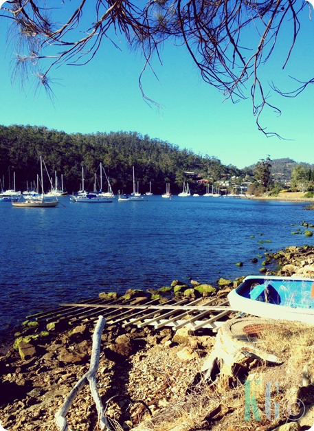 view of the bay boats photography pictures tasmania australia