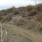 DSCF6782.JPG