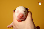 Boy 1 - day 1