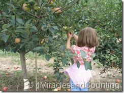 IMG_5977 IMG_5977