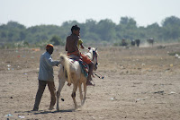 DSC05922.JPG