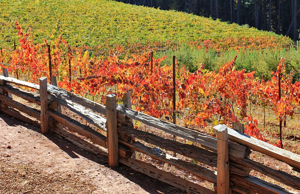 [121103_AppleHill_36%255B6%255D.jpg]