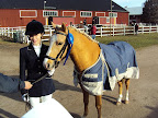 Game Over och Freja 2:a i dressyrdebuten okt 2010