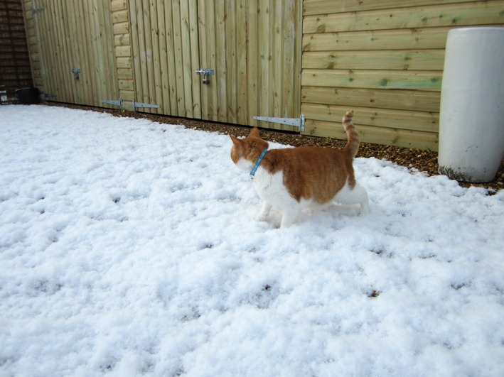 [IMG_4125%255B4%255D.jpg]