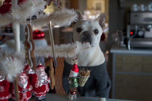 Oh no!  Franny, the tree is also decorated with Santa Claus ornaments.  What's that holiday song about Santa making a list and checking it twice?