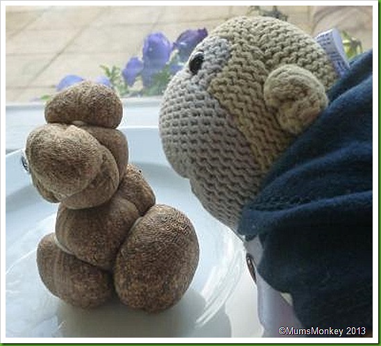 Grass head Bear. Grass head Bear.