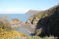 IMG_6047.JPG Photo