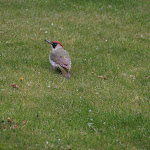 photoIMG_2127.jpg