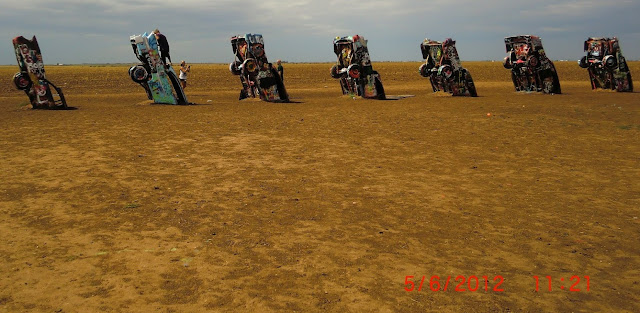 CIMG1443.JPG