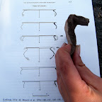 Seker-Golan-12-11-2010