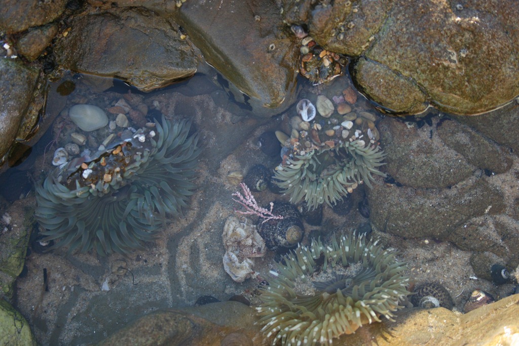 [holiday%2520road%2520149%255B3%255D.jpg]