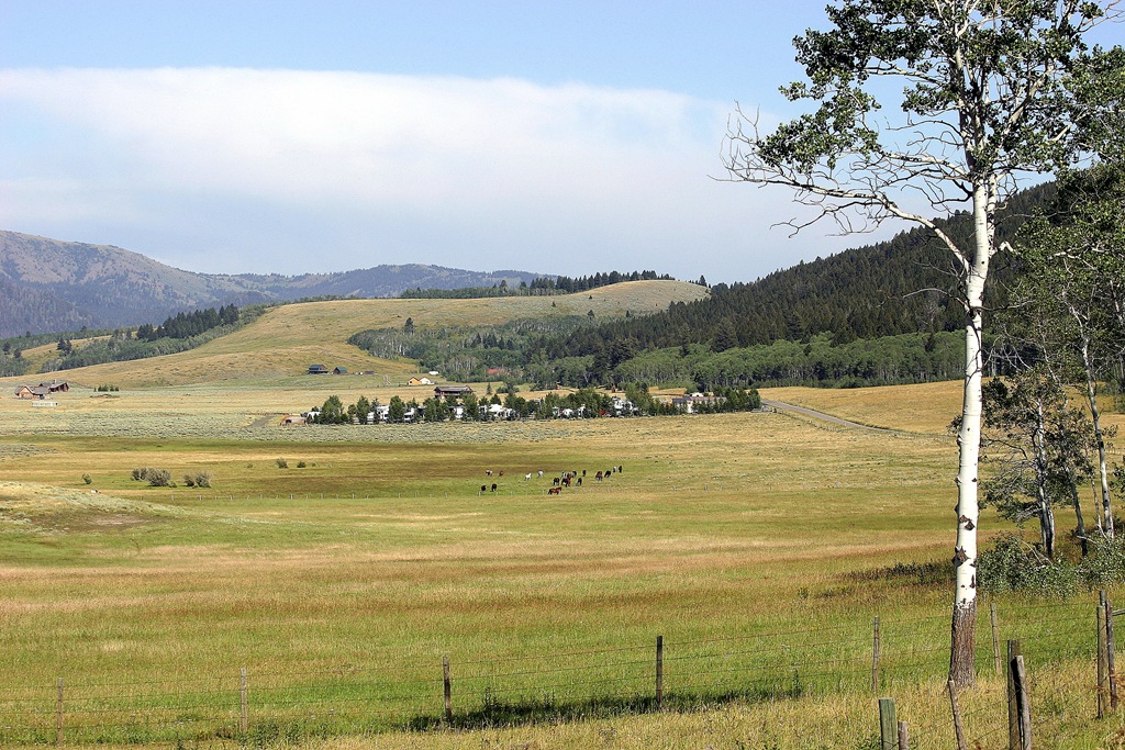 [IMG_2109B%255B4%255D.jpg]