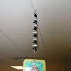 HairOfTheDog-Jan2011 039.jpg