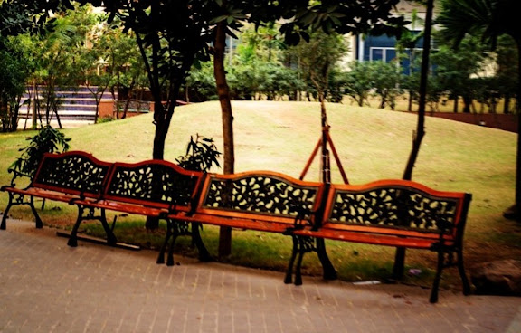 3jan2010.jpg