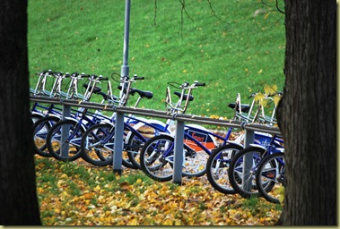 2011-10-30 Public Bikes