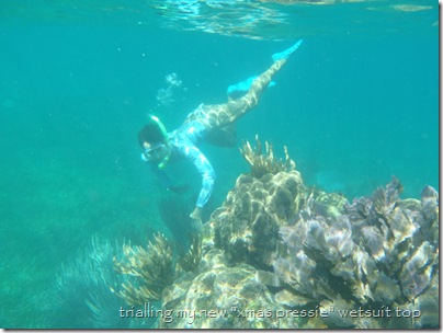 Snorkelling at Nicholas Cay