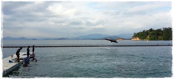 20130308_162032_9831