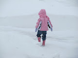 IMG_0123.JPG