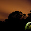 IMG_0263 IMG_0263