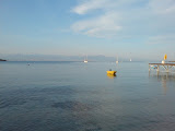 DSC00487.JPG
