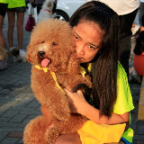 Pet Express Doggie Run 2012 Philippines. Jpg (120).JPG