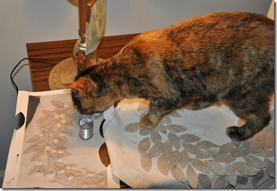 DSC_0074 DSC_0074