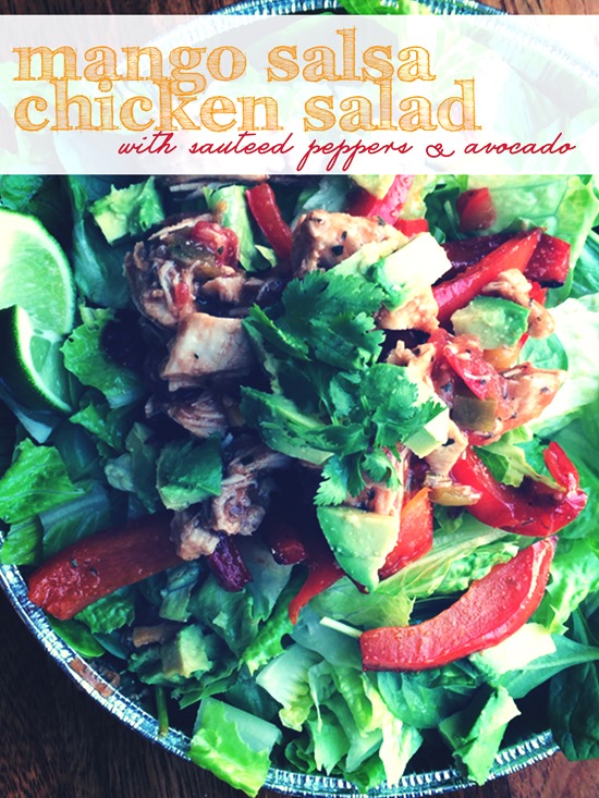 Mango Salsa Chicken Salad Mango Salsa Chicken Salad