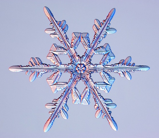 [snowflake-1%255B4%255D.jpg]
