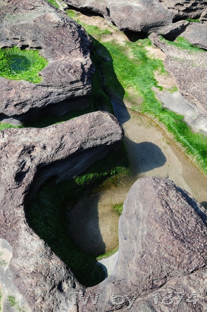 [DSC_6187%255B9%255D.jpg]