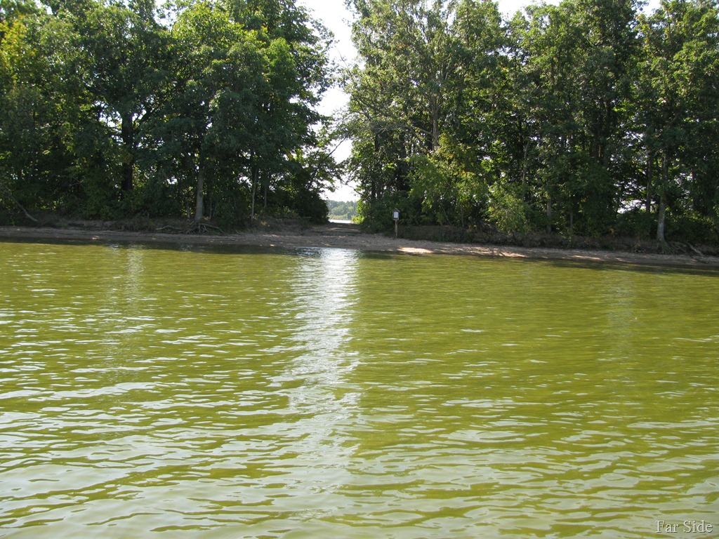 [IMG_6098%255B10%255D.jpg]