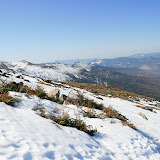 IMG_9972.JPG