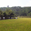 hiking_82.jpg