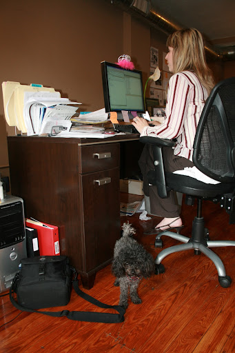 Dogs are a routine part of the work day as Connie Rhoades, a founder and editorial director of TAME, continues on as Lilly wanders through. (photo credit: James Mulvenon)